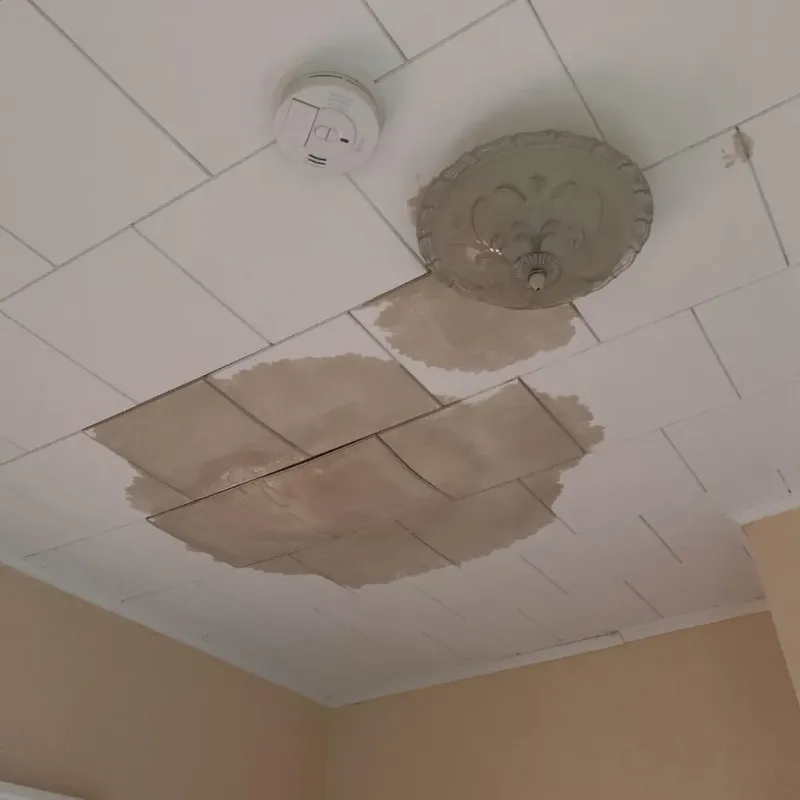 Ceiling Water Damage Repair in Troup, TX