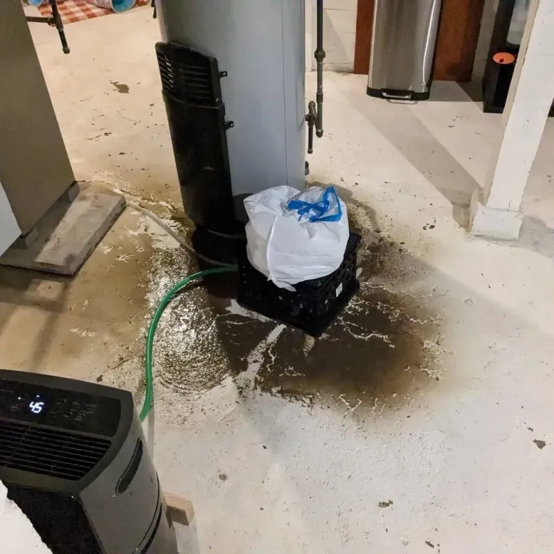 Sewage Backup Cleanup Service in Troup, TX